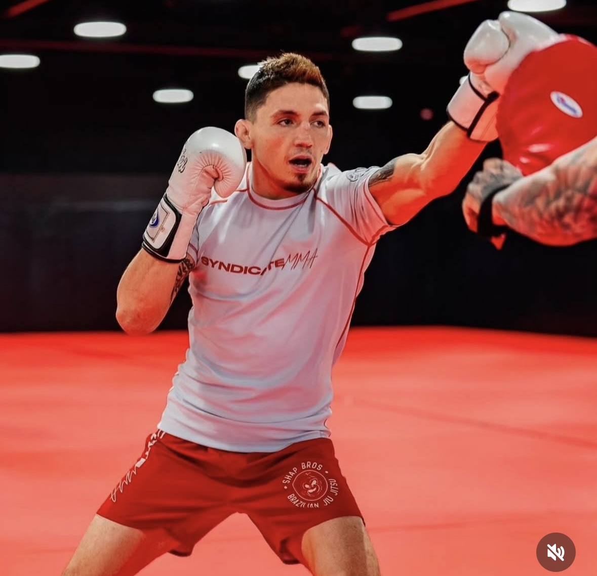 Vince Morales modified