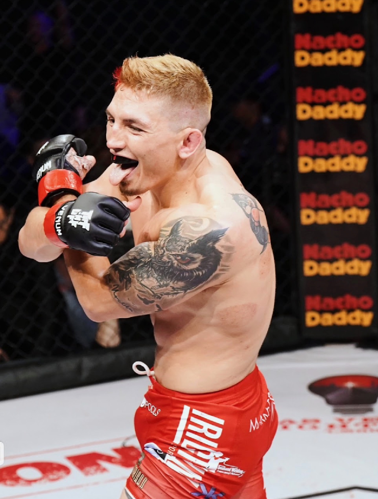 Vince Fight Pics - Google Drive